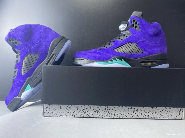 Jordan Grape 5 Alternate Air 136027-500 Retro 0610